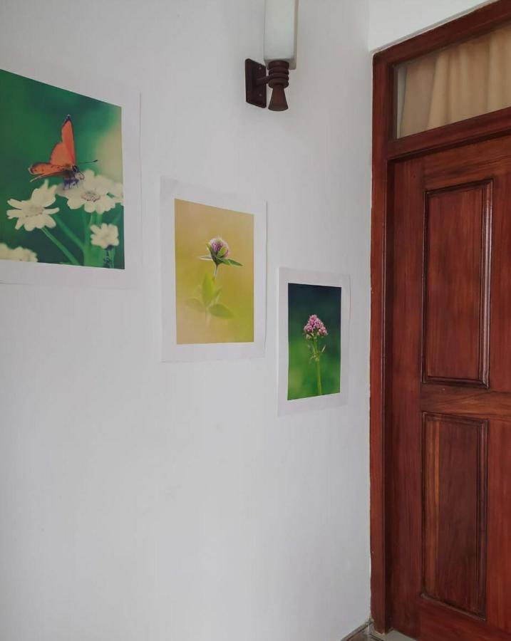River Side Holiday Inn Weligama Eksteriør bilde